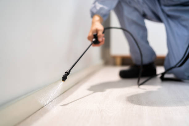 Licensed Pest Control service in Springfield, NE - Show Me Pest Control
